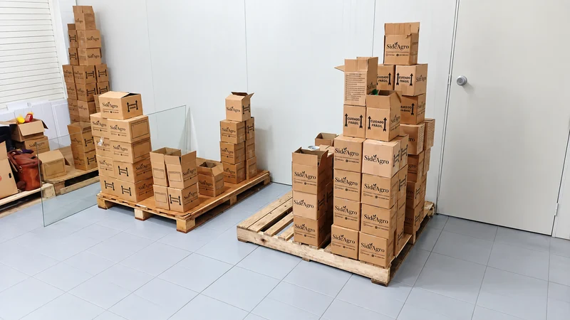 Caixas SideAgro organizadas em pallets na área de estoque